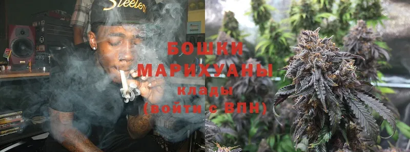 где найти   Бор  Бошки марихуана OG Kush 